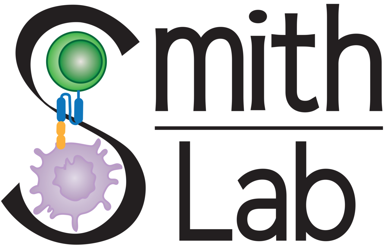 Smith Lab Lecture Hall Smith Lab | Blood and Marrow Transplantation & Cellular Therapy Division